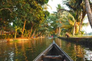 A serene canal scene featuring a boat surrounded by lush palm trees and greenery along the water's edge.