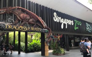 A majestic dragon sculpture at Singapore Zoo, showcasing intricate details and vibrant colors amidst lush greenery.