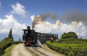 A steam train travels along a scenic track, filled with passengers, showcasing the beauty of Darjeeling tourism.