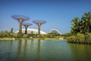 Lush greenery and vibrant flowers in Gardens by the Bay, showcasing a stunning urban landscape and innovative design.