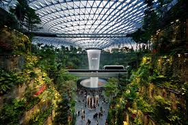 Interior view of a building featuring various plants and trees, creating a vibrant and natural atmosphere.
