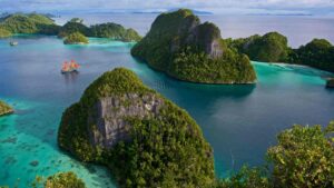 A stunning view of Komodo Island in Indonesia, showcasing its lush greenery and pristine beaches under a clear blue sky.