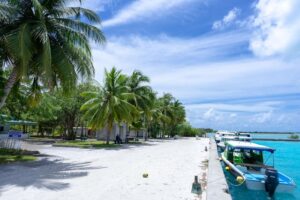 A serene beach scene featuring palm trees and boats resting on the sandy shore under a clear blue sky. 