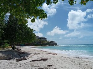 A serene beach featuring white sand and lush trees lining the tranquil shoreline.